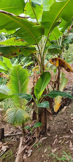 Permaculture at Farm Iley Harvesters