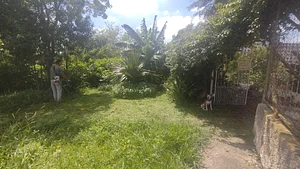 Entrada da Horta