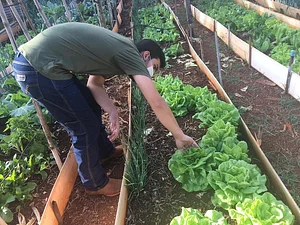 CerAUP/UEM - Centro de Referência de Agricultura Urbana e Periurbana da Universidade Estadual de Maringá - Paraná