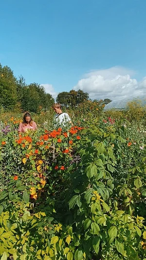 Alnarp's Agroecology Farm