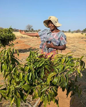 Agroecology Institute of Namibia