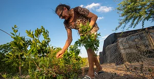 Centro Sabiá - Centro de Desenvolvimento Agroecológico Sabiá