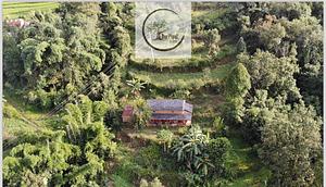 Barpipal Regenerative Farm