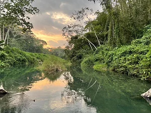 Maya Mountain Research Farm