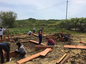 Building beds