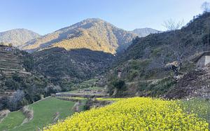 Jhumlawang Village Foundation (JVF)