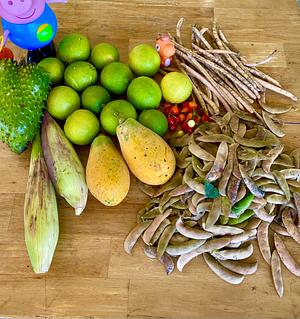 Agroforestry