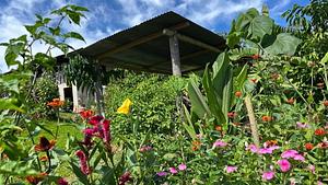 Finca Del Soul