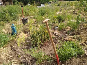 Collective Garden Project
