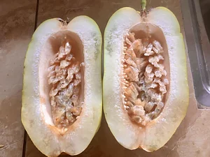 badea (giant passionfruit)