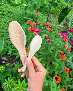 bamboo spoons