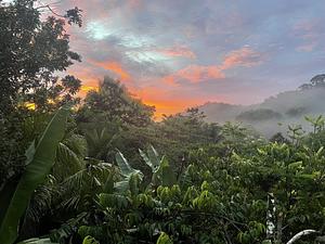 Maya Mountain Research Farm
