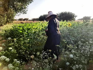 El Rochen