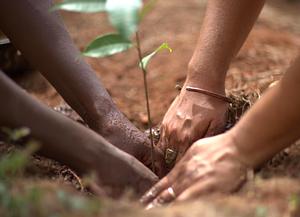 Sadhana Forest