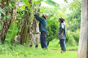 Zaytuna Farm