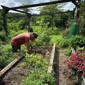Zaytuna Farm