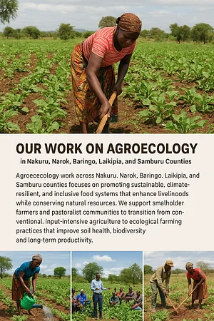 Network for Agroecology in Africa.