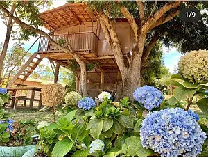 Fazenda Vaccaro
