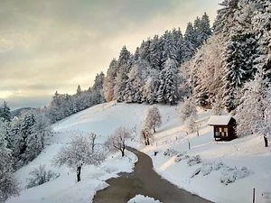 Podbukovc Organic & Permaculture Farm
