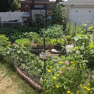 Sunray Sustainability