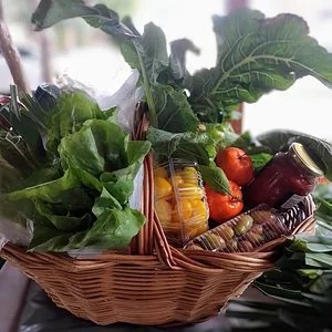 Feira Orgânica Igara