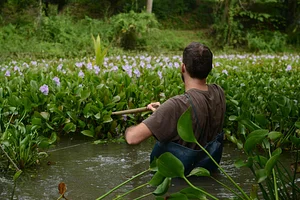 Ananda Suruci Farm