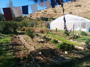 Petrera Permaculture Land