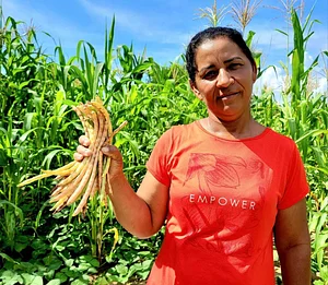 Agricultora Tânia Fernandes realizando colheita em seu SAF