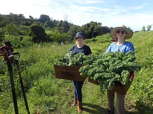 Green Connect Farm
