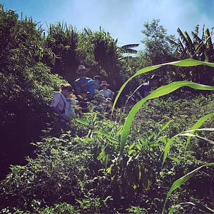 Green Connect Farm