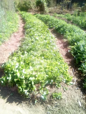 La Ferme Permacole
