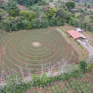 Finca Agroecologica Vivencias Campesinas​