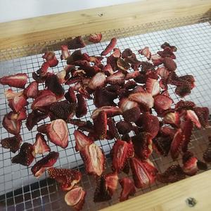 Conservación de excedentes, deshidratado solar de frutas y verduras.