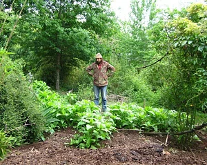 La Ferme de Sourrou