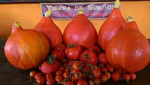 Tierra de Sueños