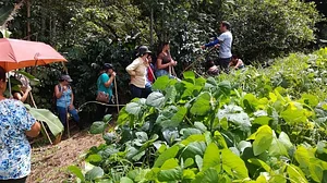Finca Agroecologica Vivencias Campesinas​