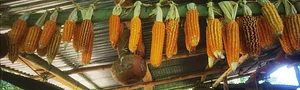 Finca Agroecologica Vivencias Campesinas​