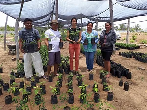Wazaka´ye - Agroecologia com os povos indígenas de Roraima