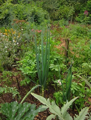 La Ferme de Sourrou