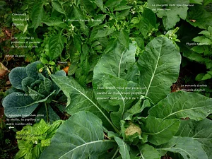 La Ferme de Sourrou
