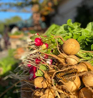 Akal Ferme en Permaculture