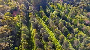 Foto aérea 3