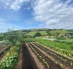 Ridgedale Farm