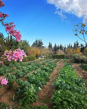 Akal Ferme en Permaculture