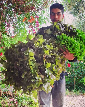 Akal Ferme en Permaculture