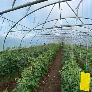 Ridgedale Farm