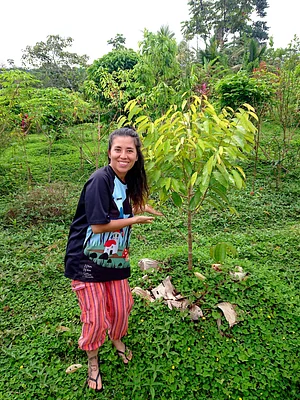 baby durian tree
