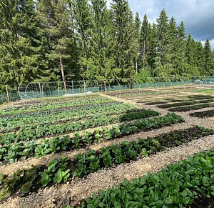 Ridgedale Farm