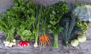 Ridgedale Farm