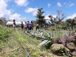 Ridge to Reef Farm